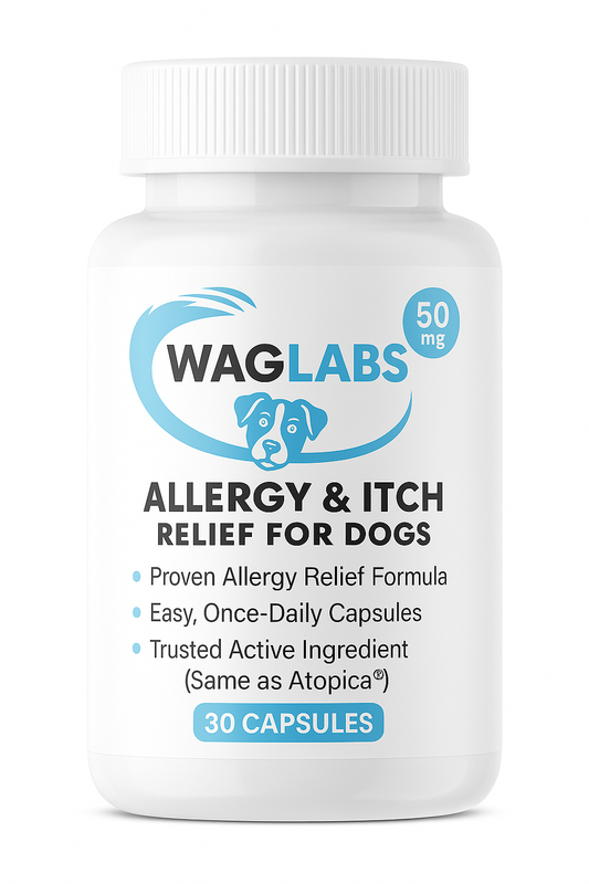 Cyclosporine Chewable Tablet (WagLabs™)