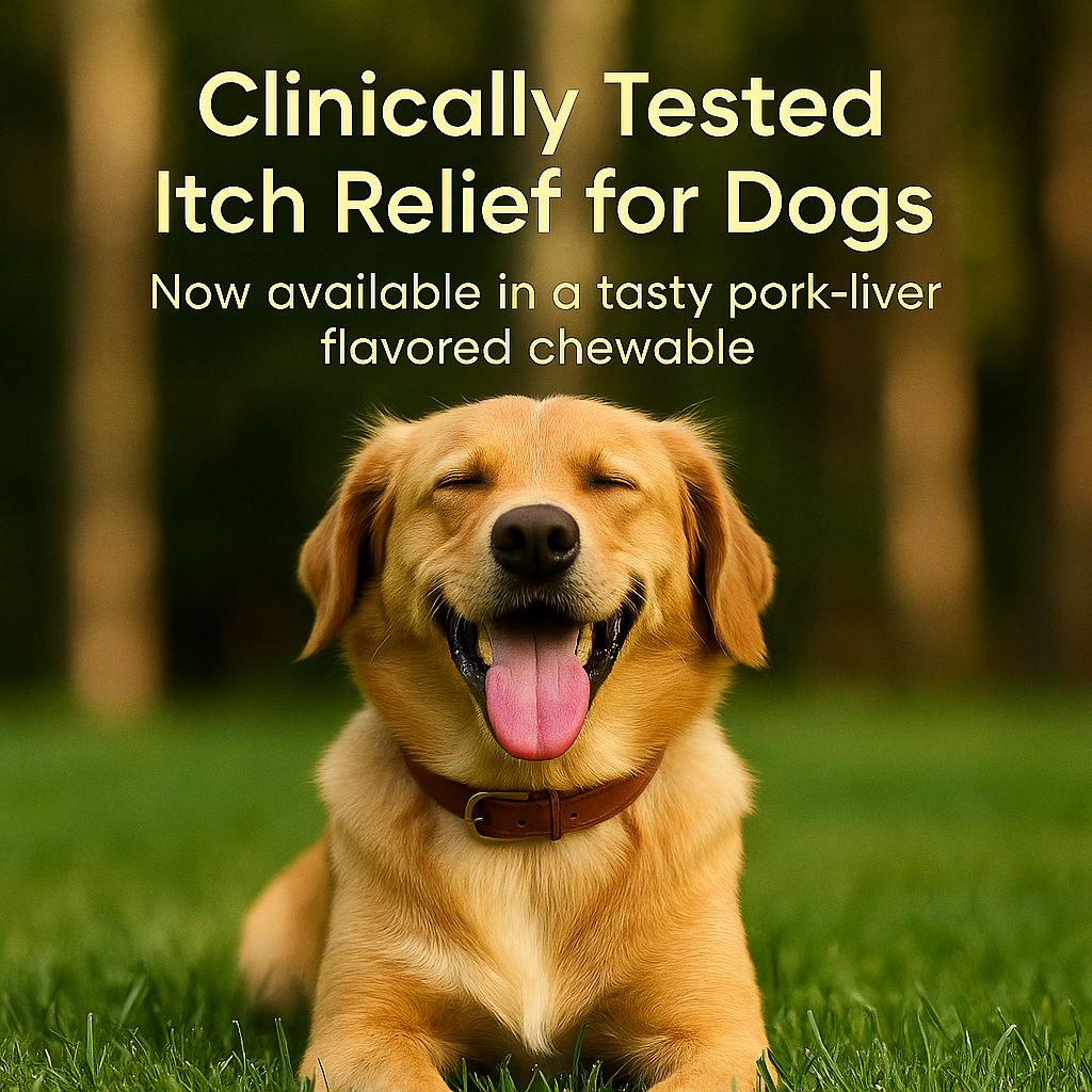 Cyclosporine Chewable Tablet (WagLabs™)